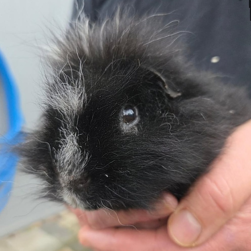 Bonnie – Bild 3