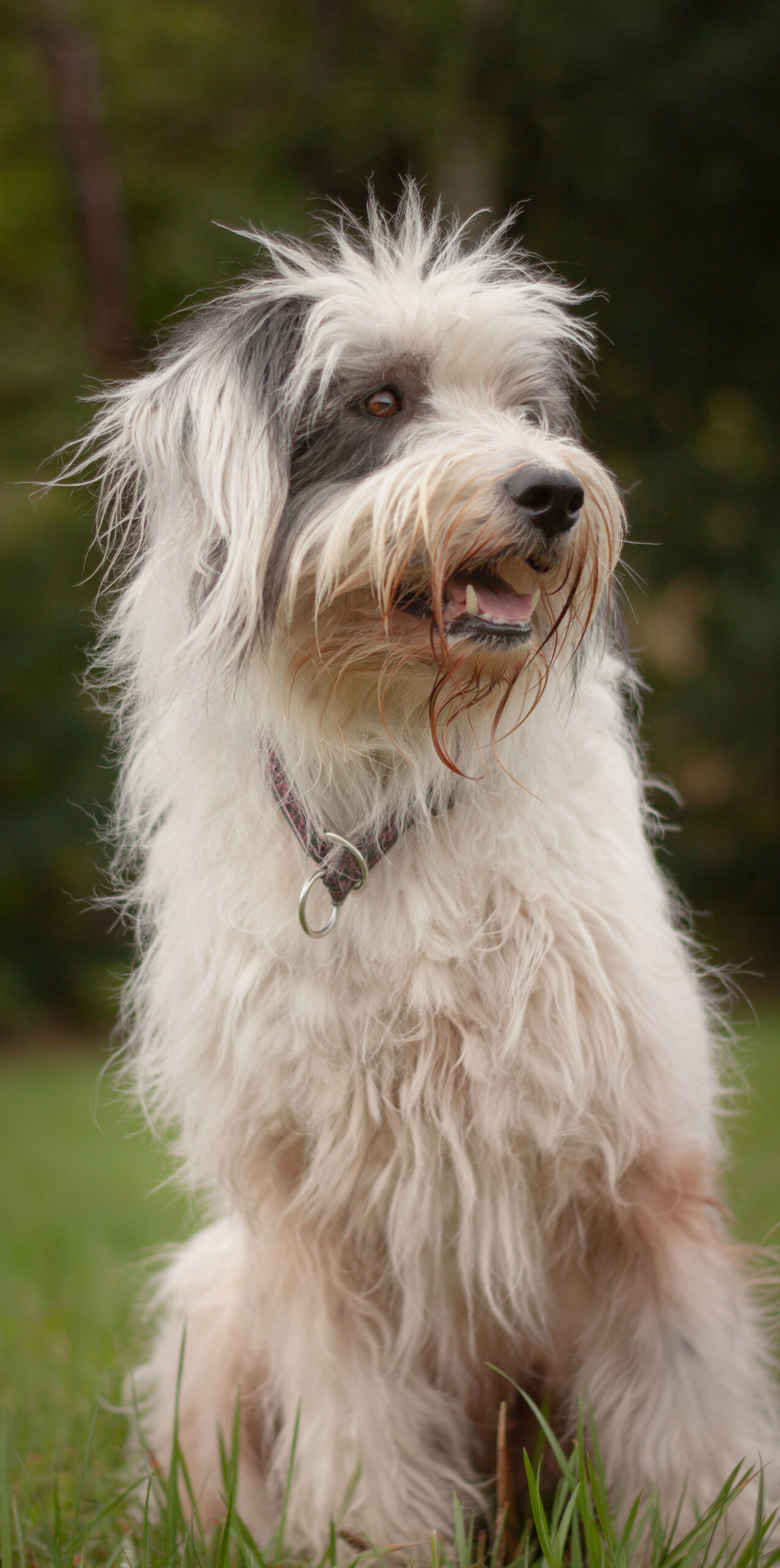 Mia 02.10.2026 – Bild 2