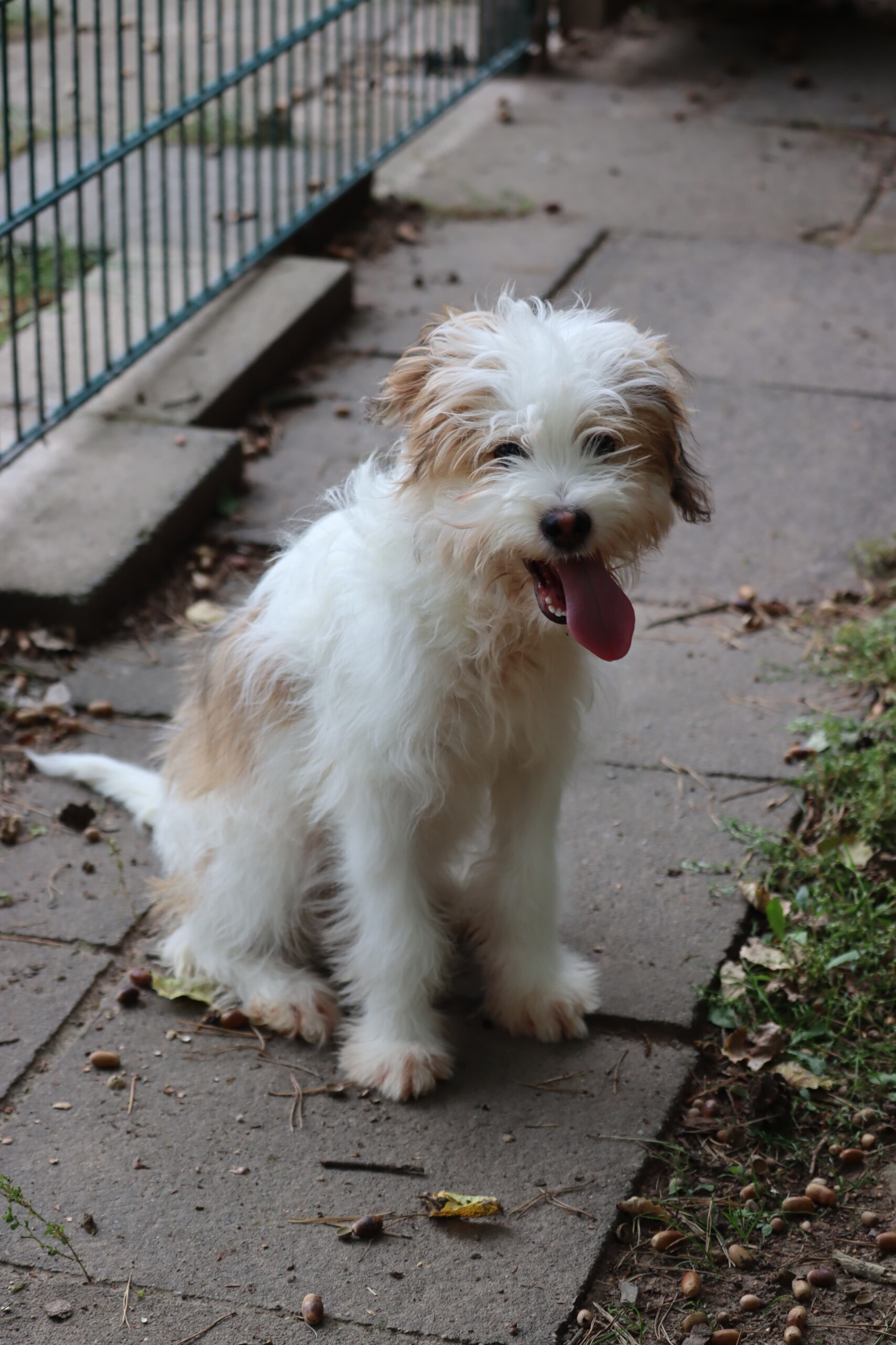 Fritzi – Bild 3