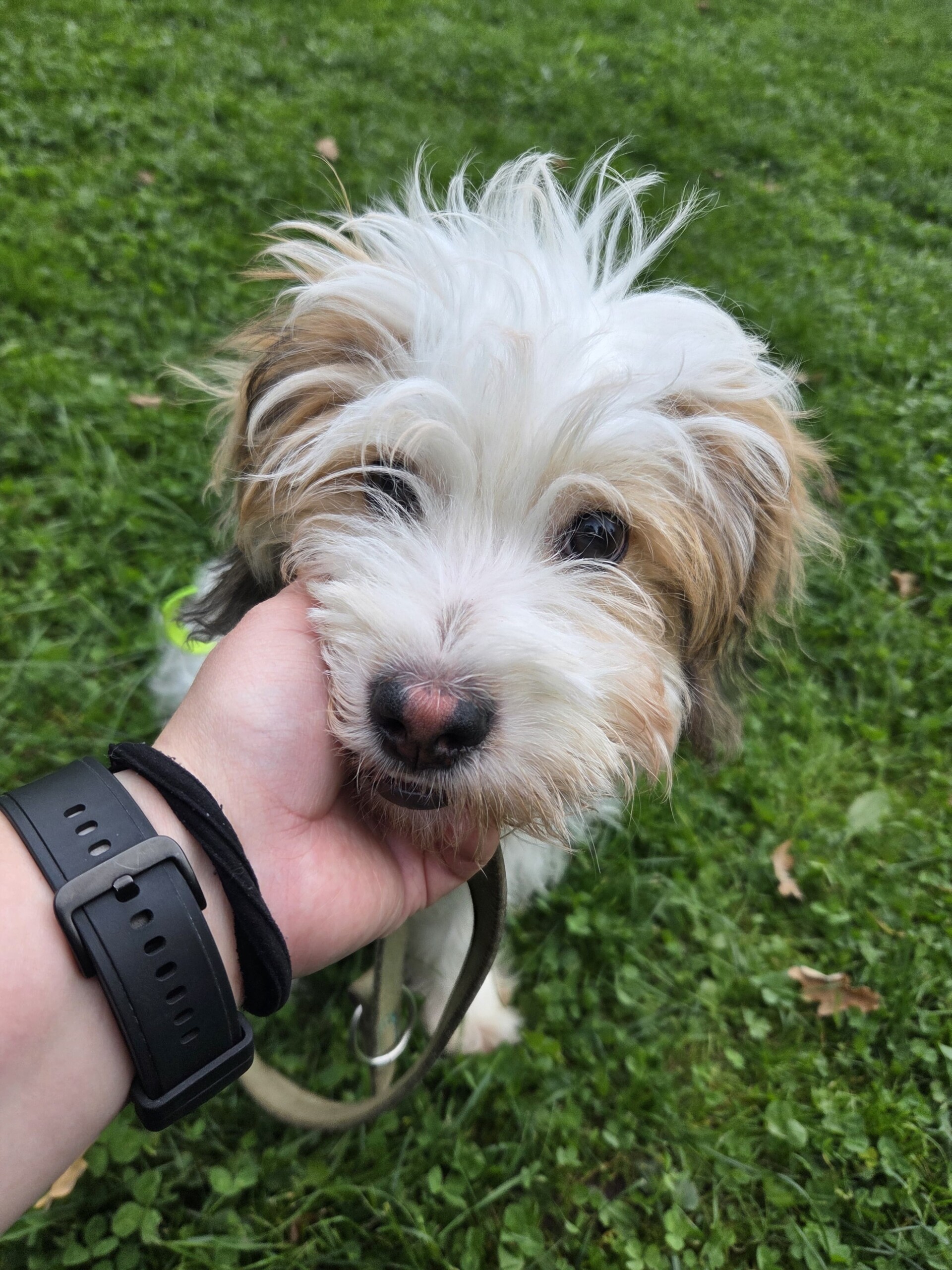 Fritzi – Bild 5