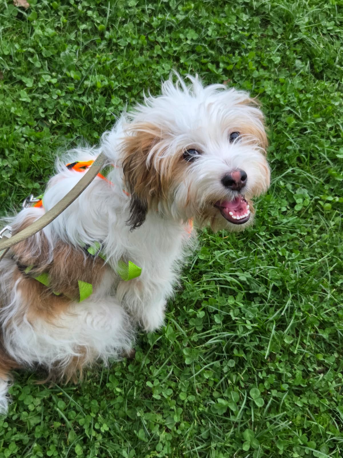 Fritzi – Bild 4