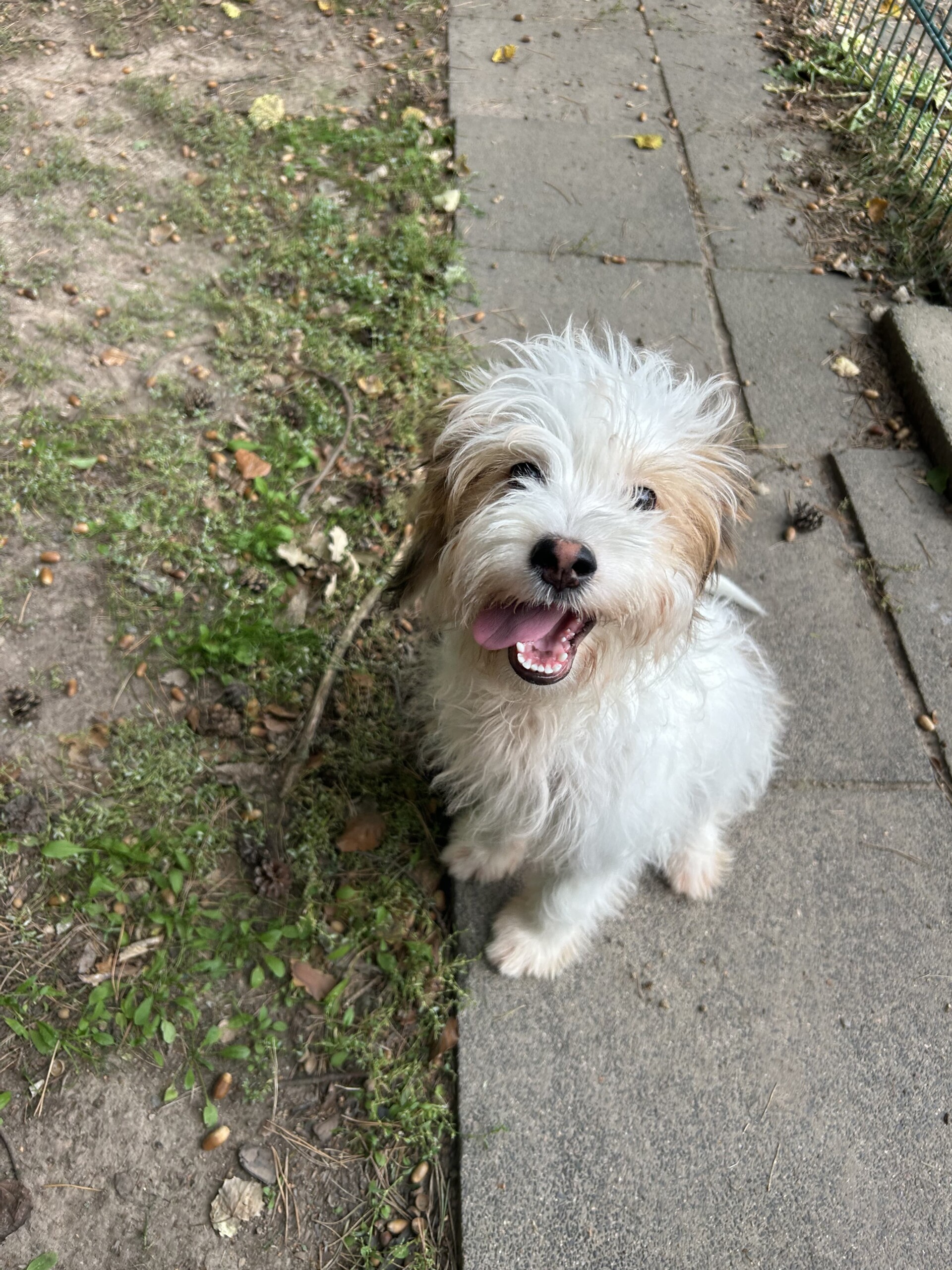 Fritzi – Bild 2