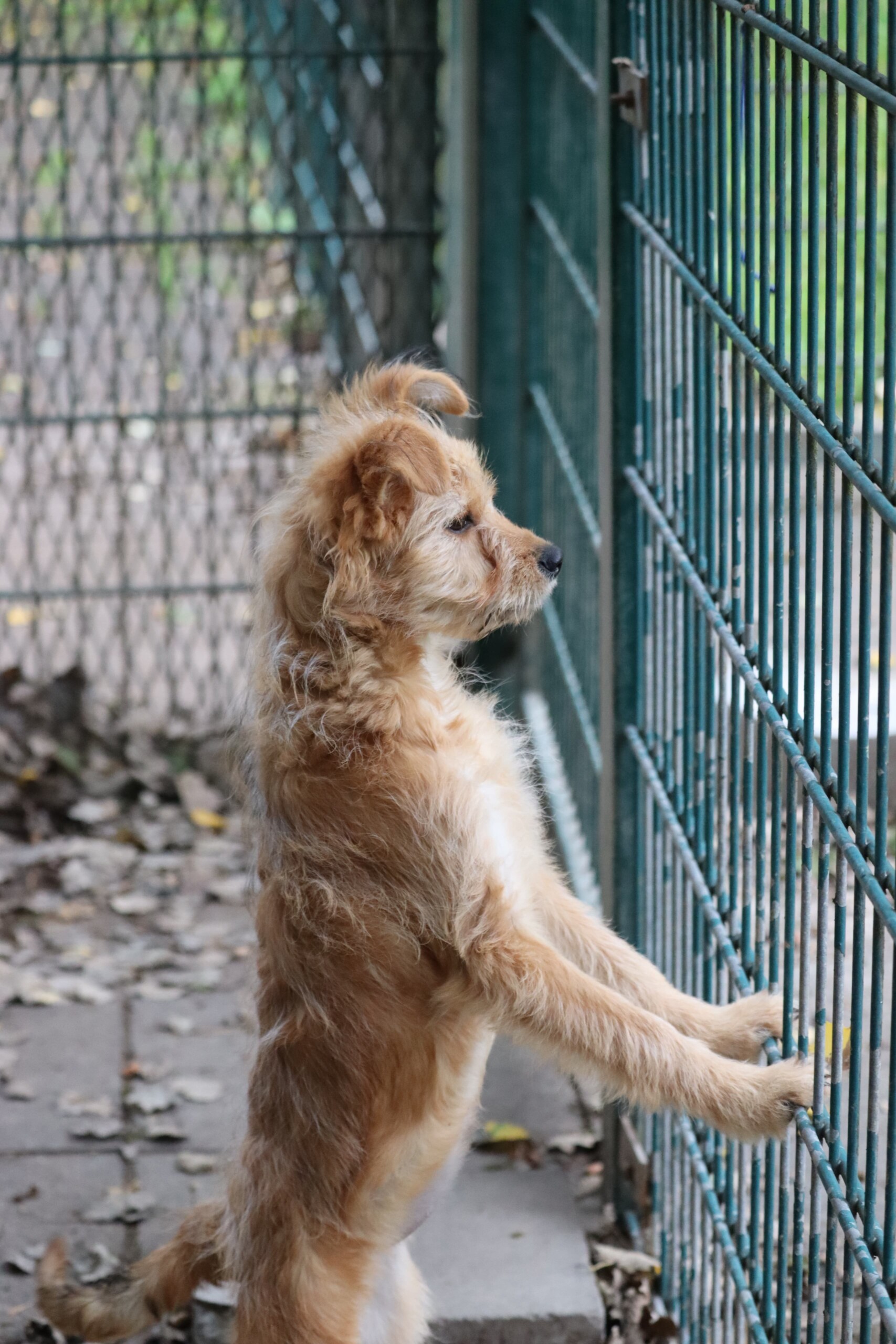 Pippi – Bild 5