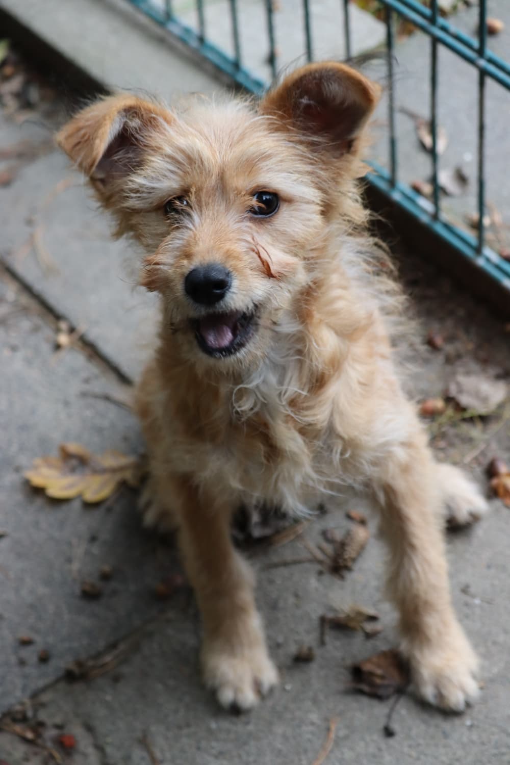 Pippi – Bild 3